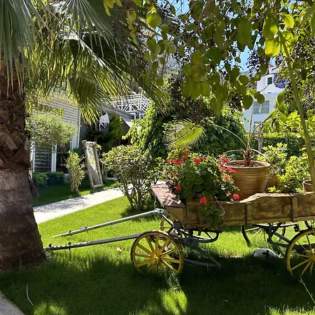 Marina Boutique Hotel Hotel Fethiye